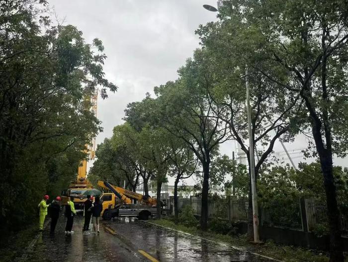 风雨同舟，通信无阻！奉贤区通信行业筑牢防汛防台通信生命线