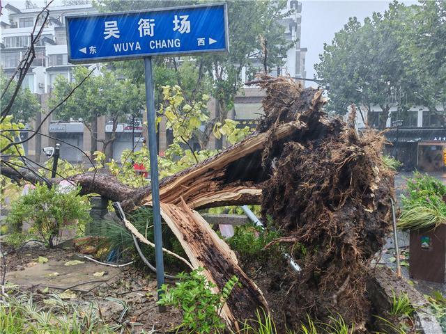 滚动直击｜严阵以待！江苏各地积极防御台风“贝碧嘉”