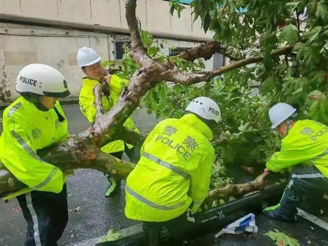 “贝碧嘉”降为台风级，但暴雨预警升级为橙色！今天上午，静安的TA们在行动……丨防御台风“贝碧嘉”