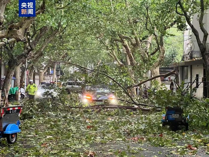 受台风“贝碧嘉”影响，上海取消航班超1400班次