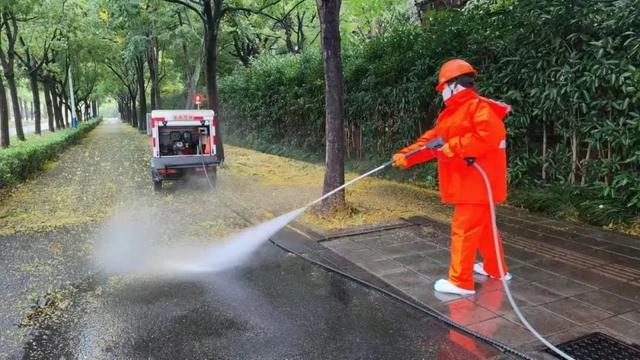 台风“贝碧嘉”过后，他们迅速按下了“复原键”