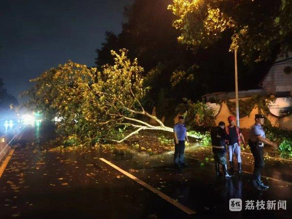 台风过后 ，江苏各地有序恢复生活生产秩序