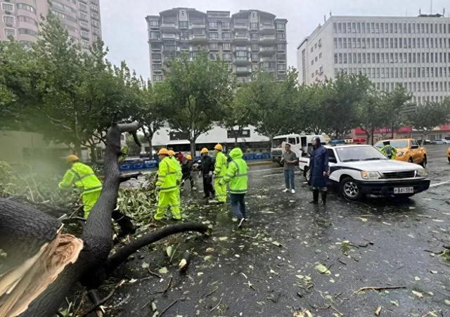 共同守“沪” 防御“贝碧嘉”丨“汛”速出动，高效处置，徐汇行业联手显成效