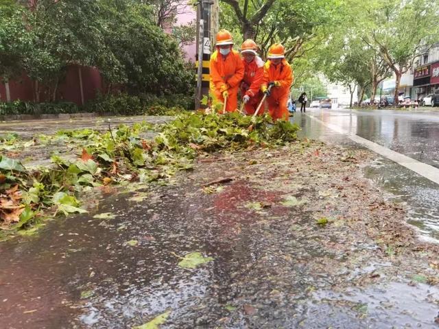 台风“贝碧嘉”过后，他们迅速按下了“复原键”