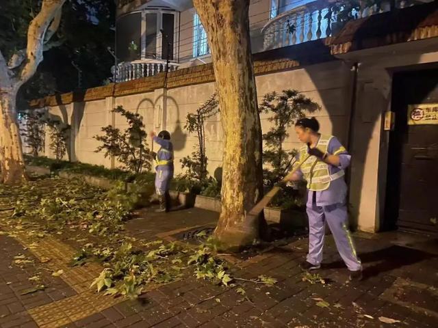 台风“贝碧嘉”过后，他们迅速按下了“复原键”