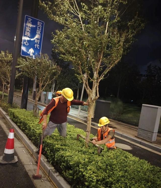 台风“贝碧嘉”过后，他们迅速按下了“复原键”