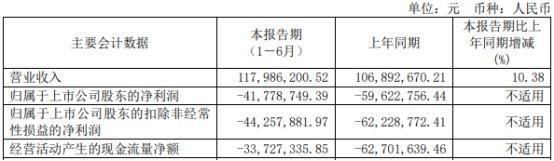 当虹科技近2年半均亏 2019上市超募3.3亿中信证券保荐