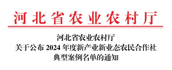 喜报！磁县姜芋种植专业合作社被认定为全省典型案例！