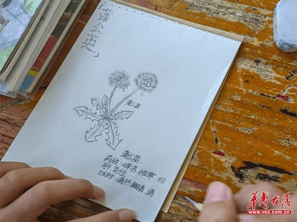 渠江镇渠江学校：中草药进校园 传承中华瑰宝