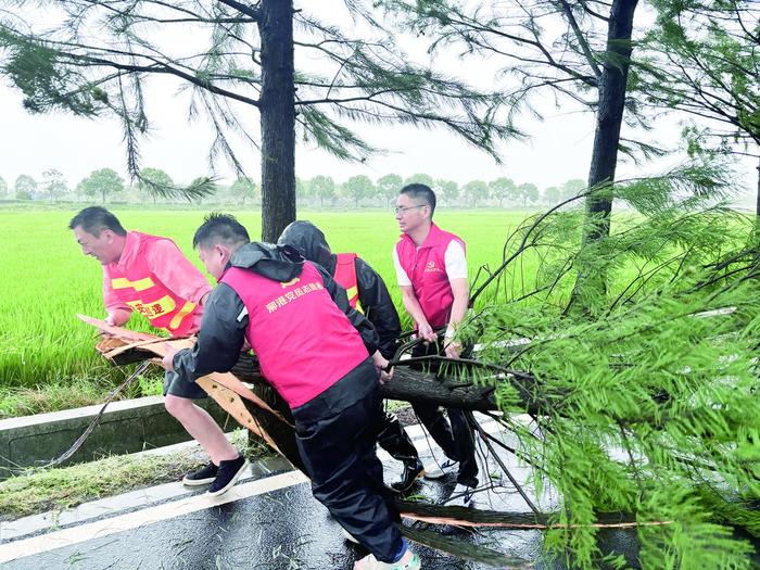 台风“贝碧嘉”影响松江期间，全区抢险救援力量协同发力