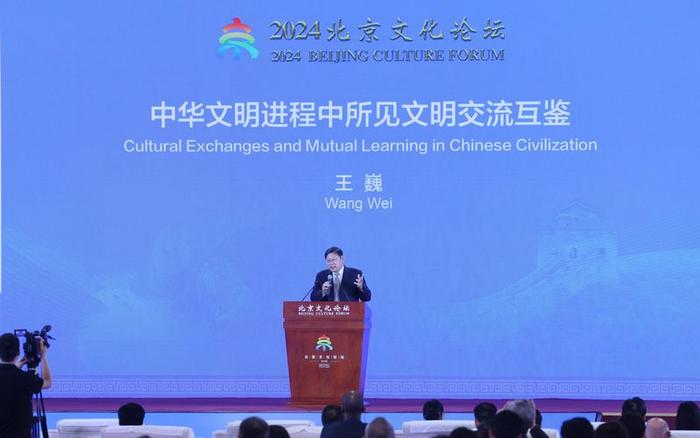 中国社科院学部委员王巍：文明进步需要吸收先进文明丰富自己