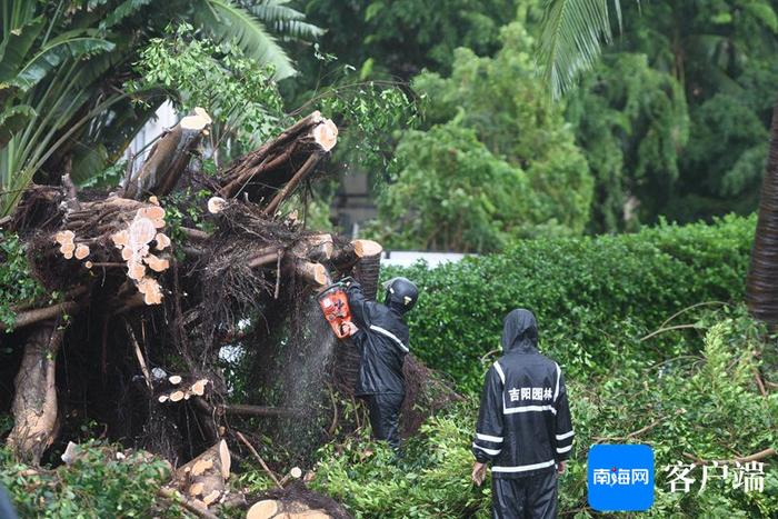 直击强风暴雨天气的三亚