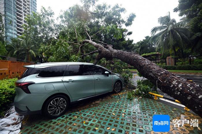 直击强风暴雨天气的三亚