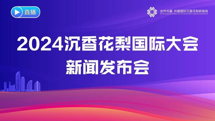 海南美浪湾健康产业集团有限公司董事长崔志强：沉香花梨是文旅融合的重要载体