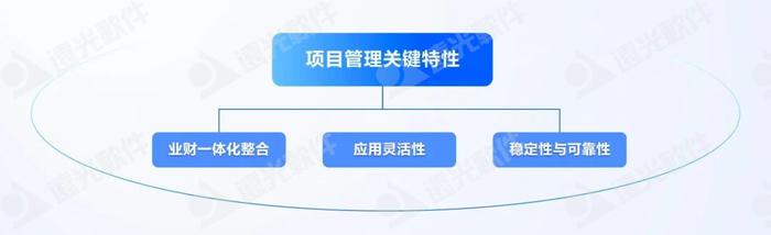 DAP专题 | 项目管理：集团企业的高效运营引擎