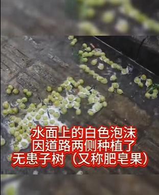 台风“普拉桑”登陆点变了！上海多区发布雷电黄色预警！有人吐槽马路上飘白沫？原来是……