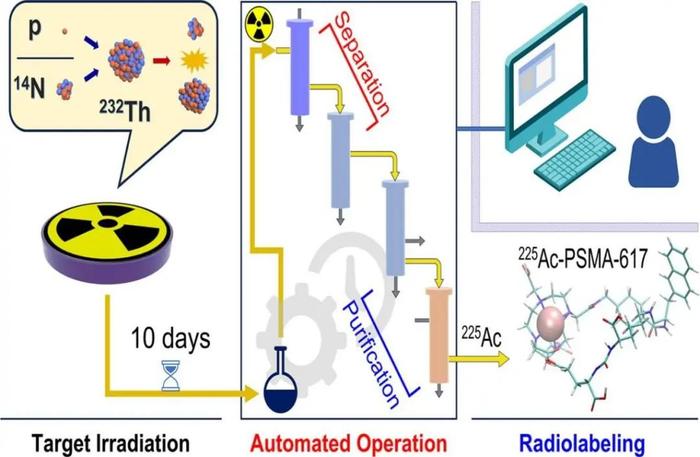 医用同位素镭-223和锕-225的分离制备获得重要进展