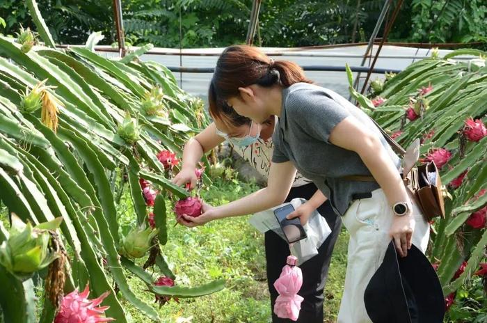 衡水三条线路入选河北省“秋采摘”休闲农业与乡村游线路