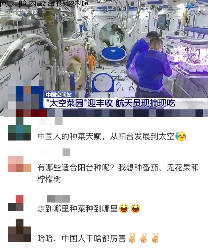 中国人种菜已经next level！