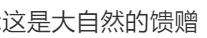 热闻|网友在威海旅游捡到疑似龙涎香，价值800万？业内人士回应……