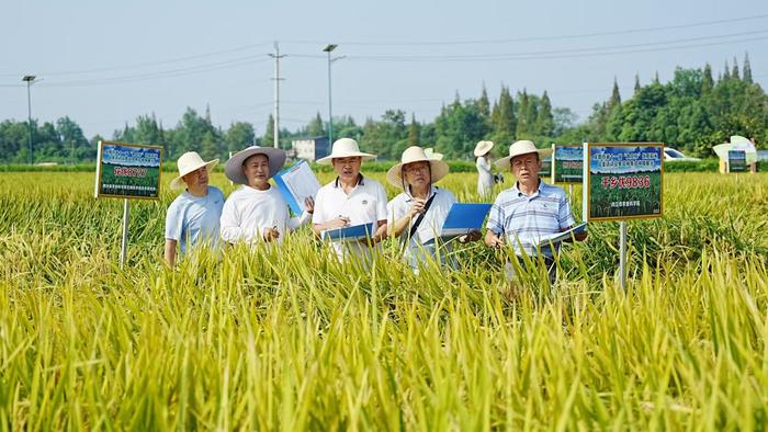 探访“农民丰收节”主会场丨四川为粮食种子发“安全牌照”的基地，让农人“看禾选种”