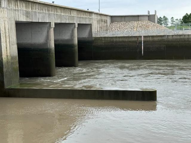 今早暴雨后，张泾河出海泵闸开闸了……