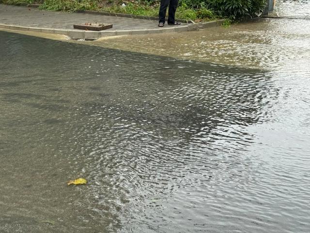 今早暴雨后，张泾河出海泵闸开闸了……