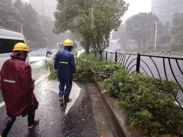 强降雨+早高峰，排水、扶树……他们全力保障市民出行