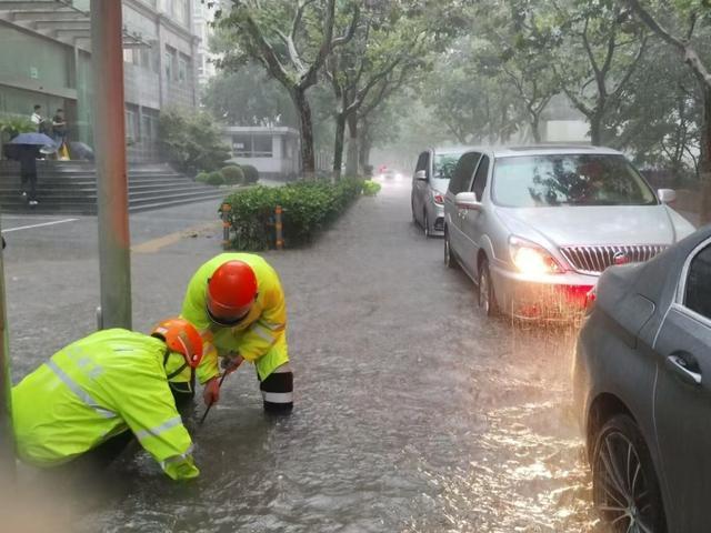 强降雨+早高峰，排水、扶树……他们全力保障市民出行