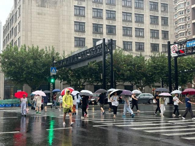 上海再发雷电黄色预警！还有大到暴雨！冷空气马上也来了