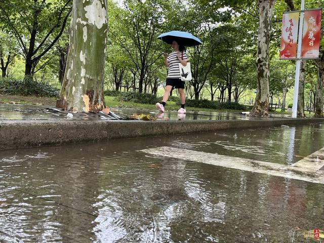 受台风尾部环流影响上海晨间暴雨，延安路高架拥堵，松江大学城学生雨中赶课