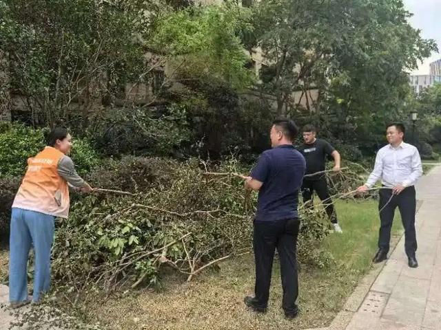 应对“普拉桑”，大宁路街道筑牢安全线