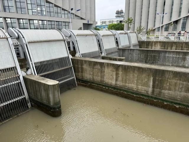 今早暴雨后，张泾河出海泵闸开闸了……