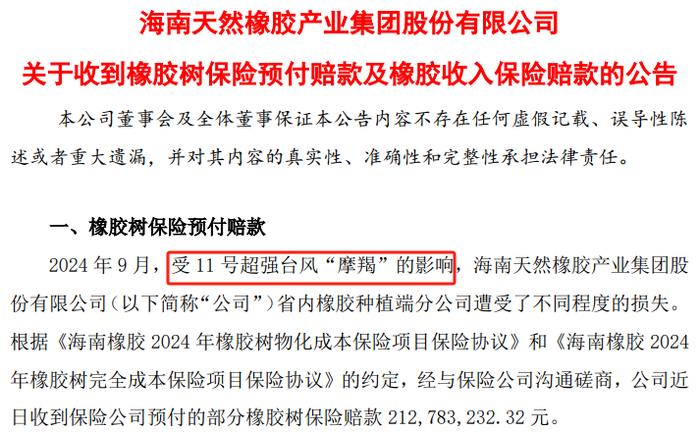 种植园受超强台风影响 海南橡胶收到罕见大额保险赔款3.45亿元、超去年净利润