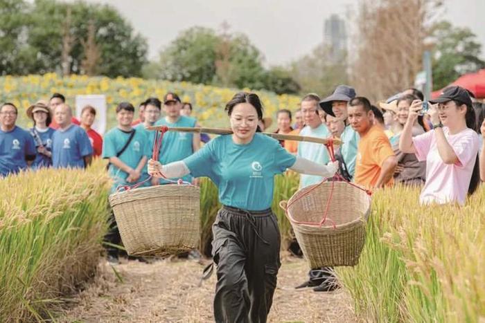 丰收节 读懂耕读文化 ■记者 陈苏