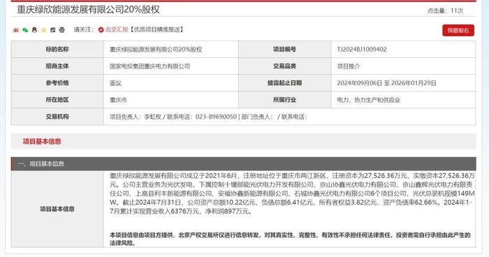 国家电投再度挂牌转让2家新能源公司