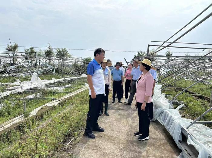 九三学社海南省委会赴海口东山镇慰问困难群众并调研救灾重建工作