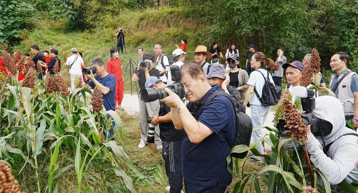 金秋酒约 寻味老清香第三届“红高粱基地”陕西白水杜康行圆满举行