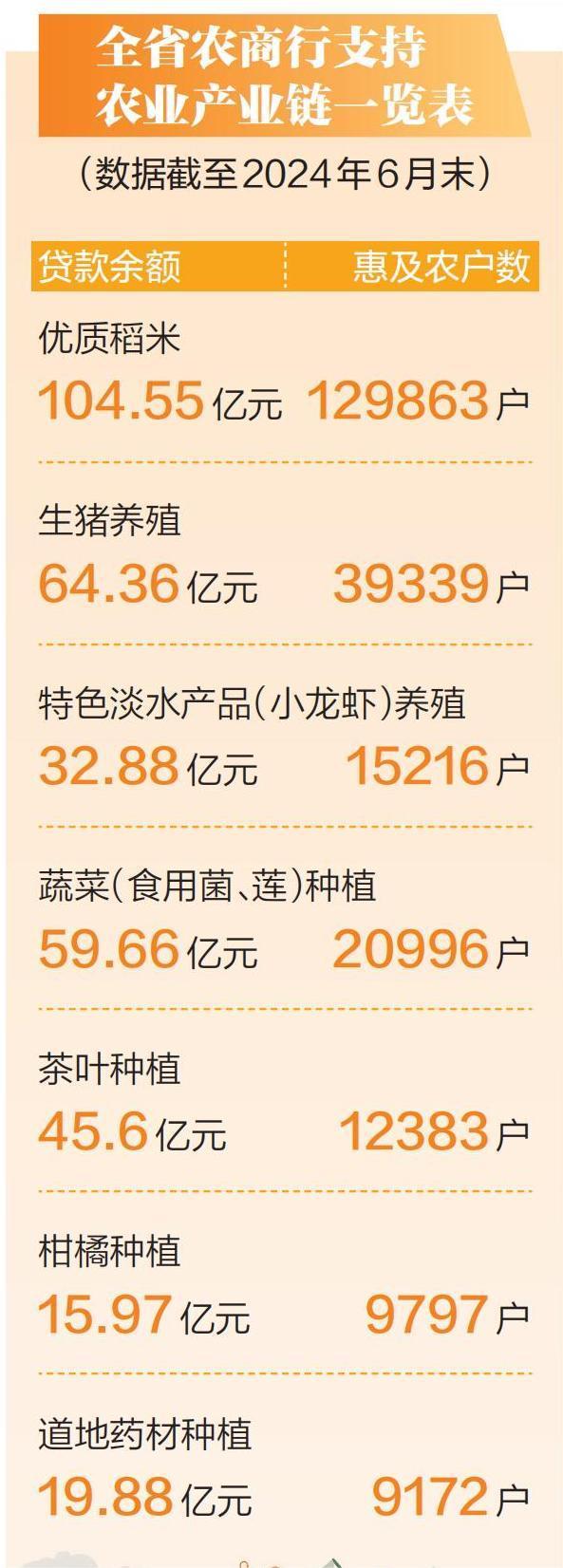 叫响“乡村振兴主办行”口号 深度服务1.4万个乡村