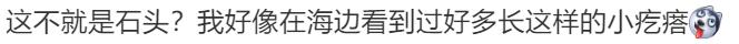 热闻|网友在威海旅游捡到疑似龙涎香，价值800万？业内人士回应……