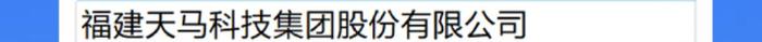 连续6年上榜！天马科技集团入选“福建省民营企业100强”等榜单