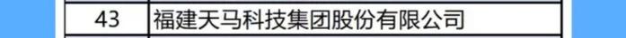 连续6年上榜！天马科技集团入选“福建省民营企业100强”等榜单