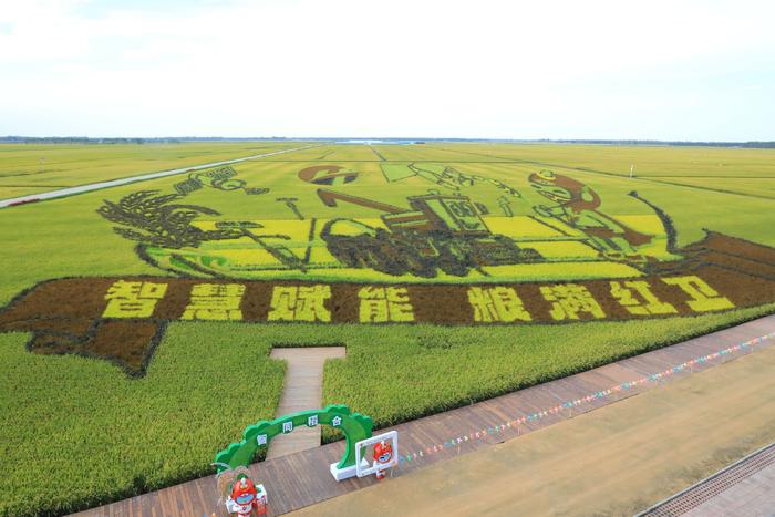 壮美中国 现代龙江｜北大荒集团红卫农场：打造科技强农“新引擎”