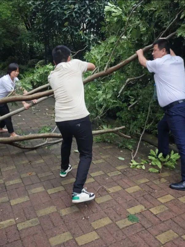 “贝碧嘉”、“普拉桑”台风来袭，房管人闻“风”而动、“汛”速出击