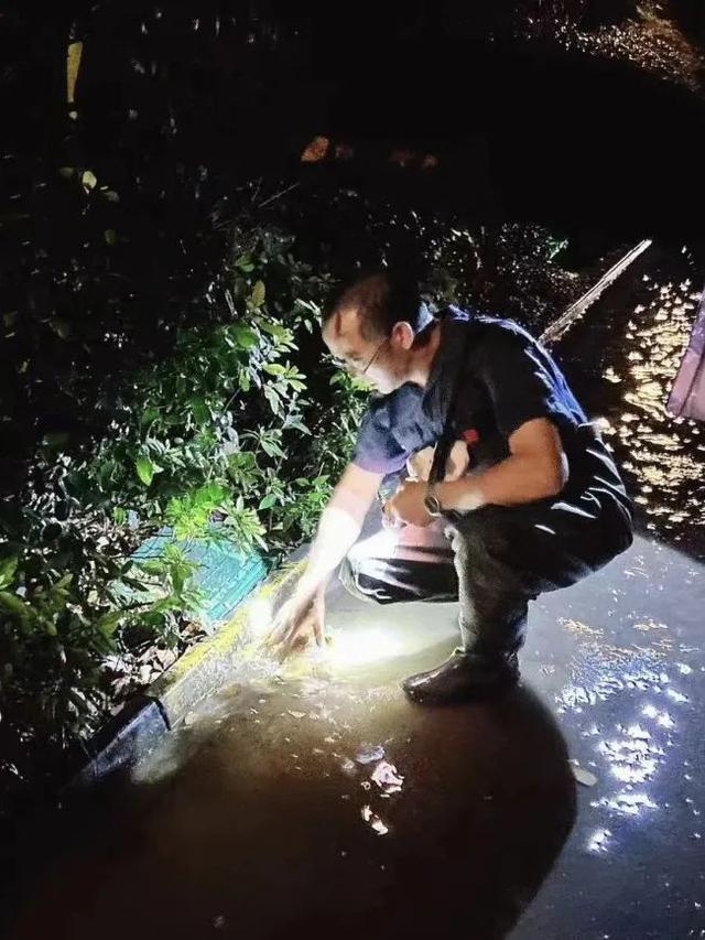 “贝碧嘉”、“普拉桑”台风来袭，房管人闻“风”而动、“汛”速出击