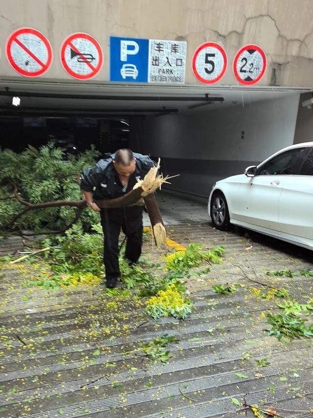 “贝碧嘉”、“普拉桑”台风来袭，房管人闻“风”而动、“汛”速出击