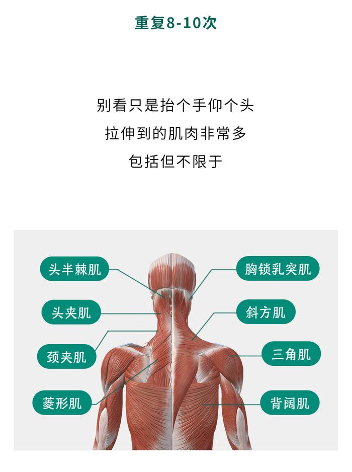 经常做这4个动作，你的脖子会比一般人更牛逼！！