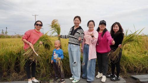 守望稻田｜碧桂园服务助力绿色大米推广，丰富万千家庭餐桌