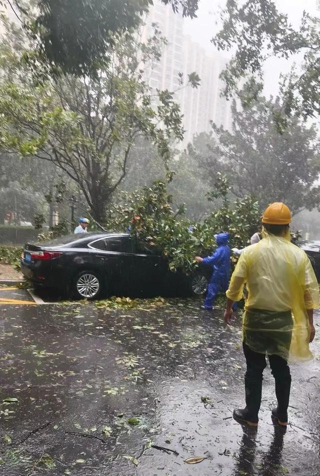 “贝碧嘉”、“普拉桑”台风来袭，房管人闻“风”而动、“汛”速出击