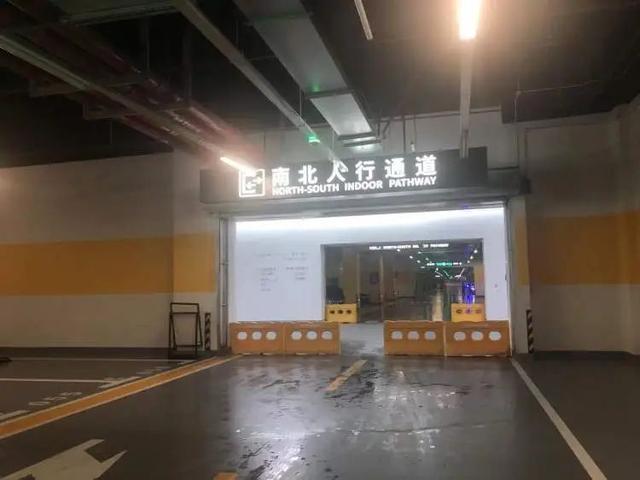 近千人冒着暴雨来打卡，还有人6点就来了！上海这里实火！